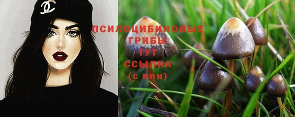гидропоника Киренск
