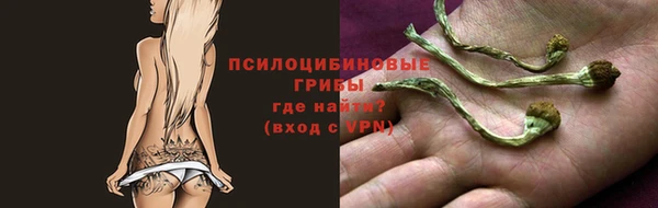 меф Кинешма