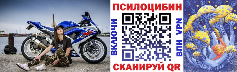 Галлюциногенные грибы мицелий  Купить где  Катайск 